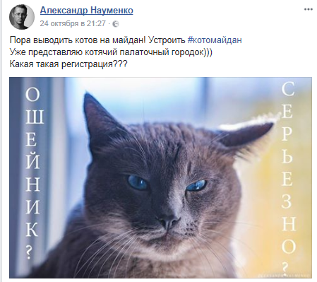 «Пора на котомайдан»: украинцы обсуждают законопроект про учет кошек и собак