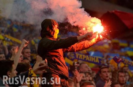 ФИФА оштрафовала Украину за неонацистские кричалки болельщиков