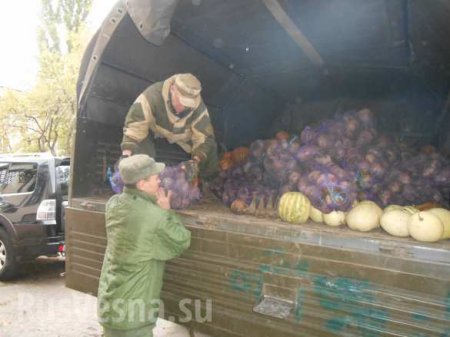 Армия с народом: народная милиция ДНР обеспечила донецкий интернат продуктами питания на зиму (ФОТО)