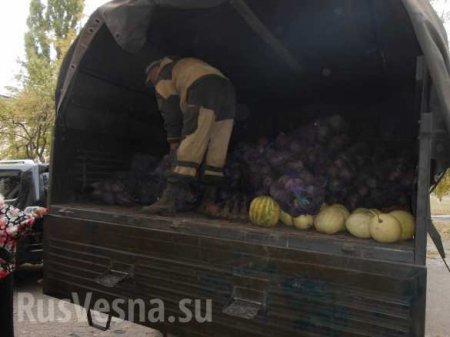 Армия с народом: народная милиция ДНР обеспечила донецкий интернат продуктами питания на зиму (ФОТО)