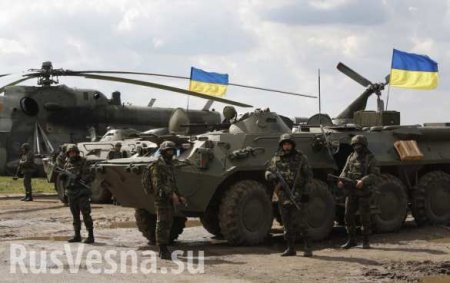 Сможет ли Украина оккупировать Донбасс по «хорватскому сценарию»?