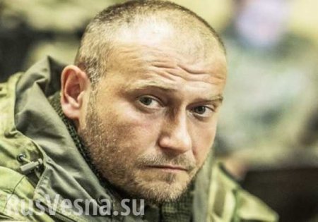 Нам бы дожить: Ярош назвал точную дату захвата Донецка и Луганска