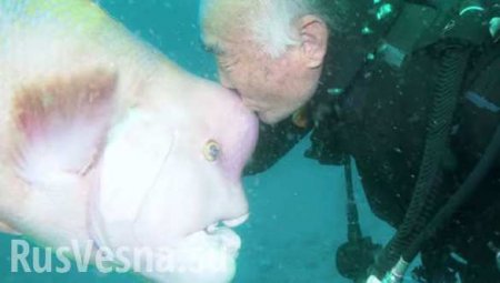 Японец 30 лет дружит с рыбой, чья голова похожа на человеческую (ФОТО, ВИДЕО)