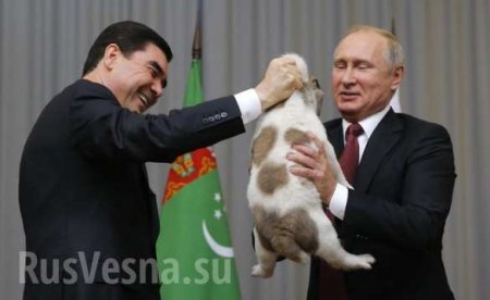 Президент Туркмении подарил Путину щенка алабая (ФОТО, ВИДЕО)