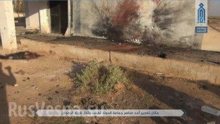 Бои и разорванные тела боевиков: «Спецназ Аль-Каиды» беспощадно уничтожает ИГИЛ в Центральной Сирии (ФОТО 18+)