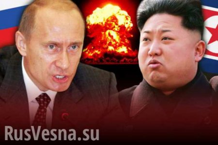 От науки до финансов: какие санкции Россия ввела против Северной Кореи