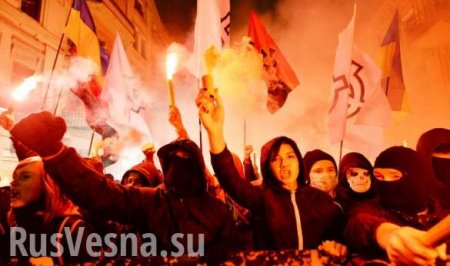Мерзкий сброд! Просто отвратительно, — реакция австрийцев на факельный марш неонацистов в Киеве