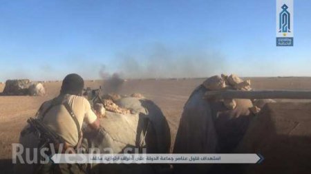 Кровавая резня смертников: Сотни боевиков ИГИЛ и «Аль-Каиды» уничтожают друг друга в центре Сирии (ФОТО 18+)