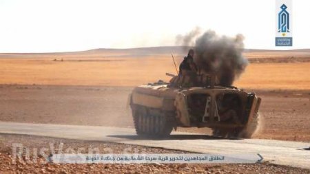 Кровавая резня смертников: Сотни боевиков ИГИЛ и «Аль-Каиды» уничтожают друг друга в центре Сирии (ФОТО 18+)