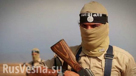Россия — главный источник иностранных боевиков для ИГИЛ, — пресса США