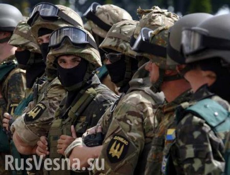 ВАЖНО: Батальон «Донбасс» призывают сняться с передовой и двинуться на Киев
