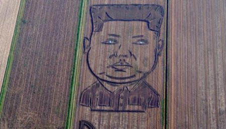 Во славу великого вождя: На соевом поле в Италии вырастили двухсотметровый портрет Ким Чен Ына