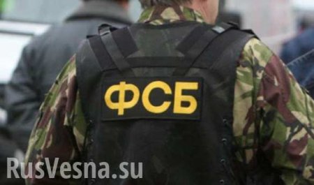 ФСБ возбудила уголовные дела по факту диверсий на газопроводах в Крыму