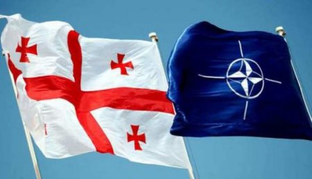 Грузия собирается участвовать в совместных с НАТО операциях на Чёрном и Средиземном морях