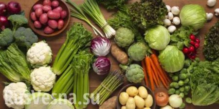 Россия собрала рекордный урожай овощей