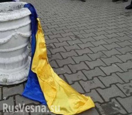 Для украинских радикалов нет ничего невозможного, когда надо навредить Украине, — Пушков