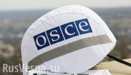 Россия призвала ОБСЕ обратить внимание на беспредел ВСУ в Донбассе