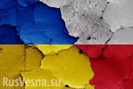 Украинцы не расплатились за Катынь, — МИД Польши