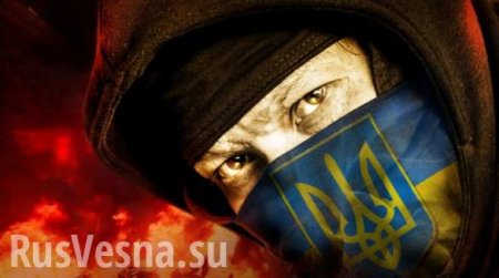 Украинский праздник непослушания: если власть не нравится — соберем Майдан!