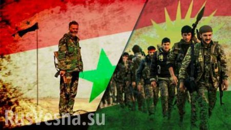 Гениальный ход Москвы: Курды выходят из под контроля США и отдают нефть России и Асаду
