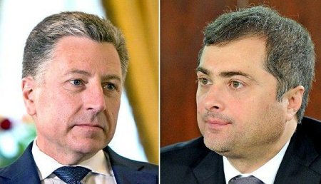 МВД РФ: Встреча Суркова и Волкера может состояться до конца года