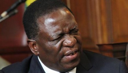 Наверное, либерал и гуманист: преемником Мугабе в Зимбабве стал Мнангагва, по прозвищу Крокодил