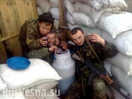 Пьяные бойцы ВСУ в поисках еды забрались в погреб к жителю Счастья