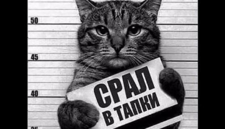 Грешная наивность Петра Павленского