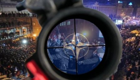 СМИ: Грузинские снайперы признались в расстреле Майдана
