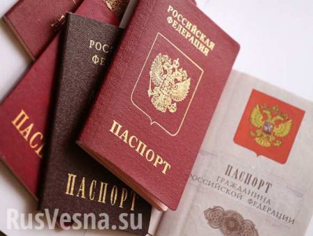 Названы сроки возможной отмены паспортов в России