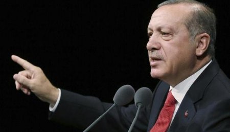 Цель оправдывает средства: Эрдоган готов наступить на горло собственным принципам