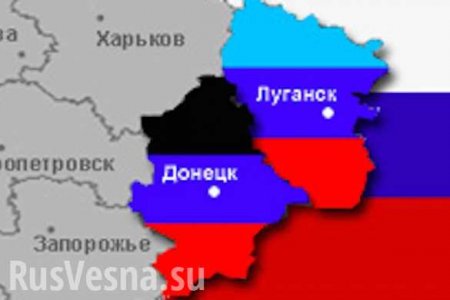 Отмена Минских соглашений сделает объединение ДНР и ЛНР безальтернативным, — Царев