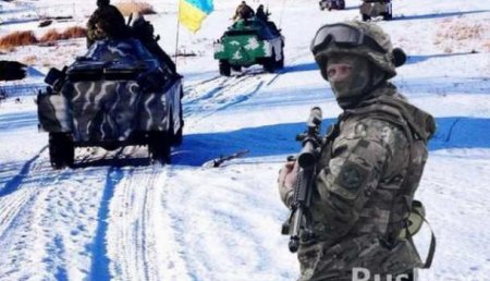 «Сами лезут»: Украинская армия попала в новый «котёл» на Донбассе (ВИДЕО)
