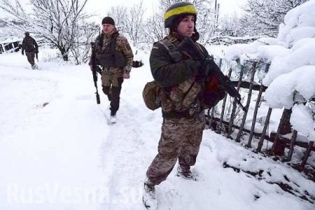 «Хотели отжать всю серую зону»: как Украина хитростью и наглостью заняла два села в Донбассе (ФОТО)