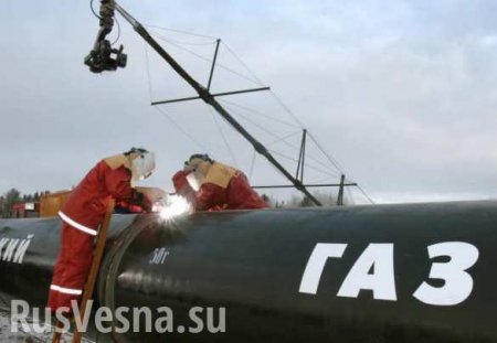 США давят на Европу, чтобы остановить российские газовые проекты, — сенатор