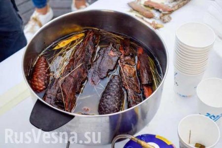 Украинские студенты накормили израильтян супом из шишек и коры (ФОТО)