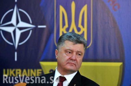 Украине не быть в НАТО, какой бы референдум ни провел Порошенко, — СМИ Британии