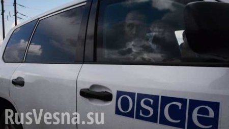«Националистические сантименты»: почему Венгрия призывает направить миссию ОБСЕ на запад Украины