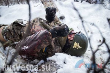 На Донбассе снайперским огнём ликвидированы боевики «АТО»