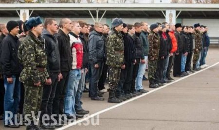 «Битва за каждого призывника»: почему украинцы массово уклоняются от службы в армии (ФОТО)
