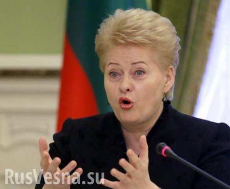 «Да пабачэння»: Белоруссия уводит транзит из Литвы в Россию