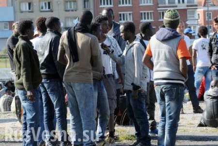 Банды мигрантов-насильников запугали Швецию