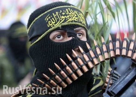 «Джихад» до Киева доведет. Почему исламисты облюбовали Украину (ФОТО)