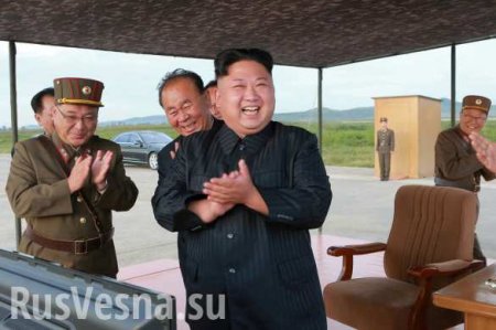 «Ставки растут»: В Совфеде прокомментировали слова Ким Чен Ына о «ядерной кнопке»