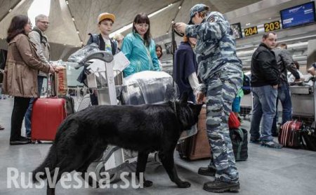 Телефонные террористы «заминировали» 30 аэропортов России