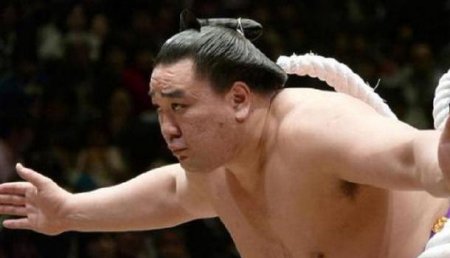 Схватка двух йокодзун: Японский суд оштрафовал чемпиона сумо, лишившегося титула за драку