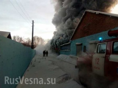 Восемь человек погибло при пожаре на складе под Новосибирском (ФОТО)