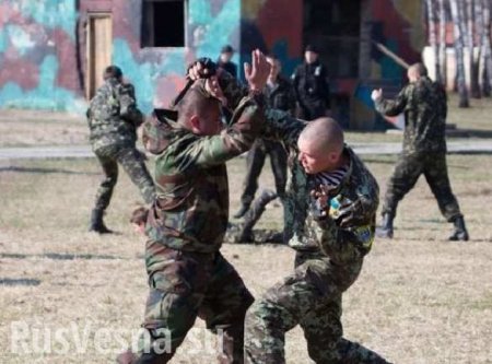 «ВСУшники» избивают своих офицеров: полная сводка о военной ситуации в ДНР за 8—9 января