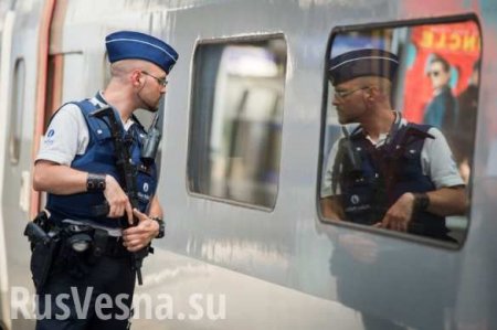 Во Франции 40 хулиганов разгромили поезд