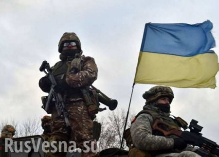 Киев перебросил иностранных наемников на линию фронта для отстрела ВСУ и националистов